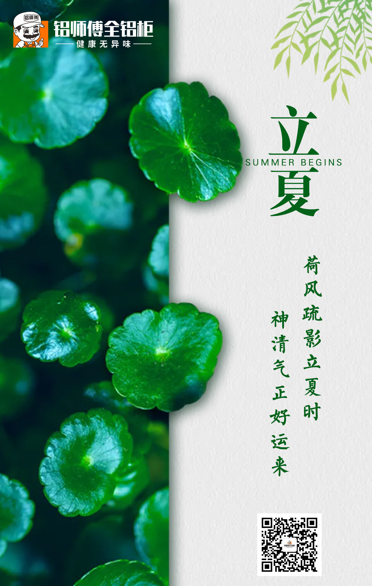 立夏|五月伊始，忽而今夏